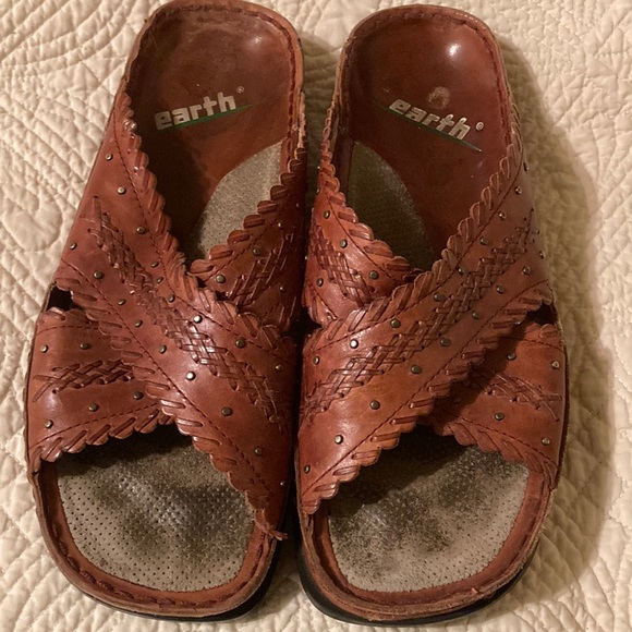 earth camellia cahoon